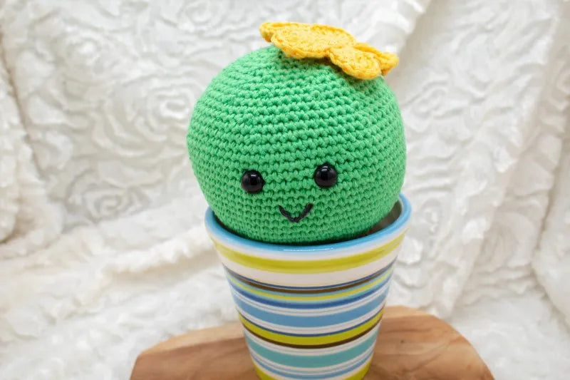 Gehaakt Haakpatroon cactus Carla ontworpen door Cora's Knit Knacks