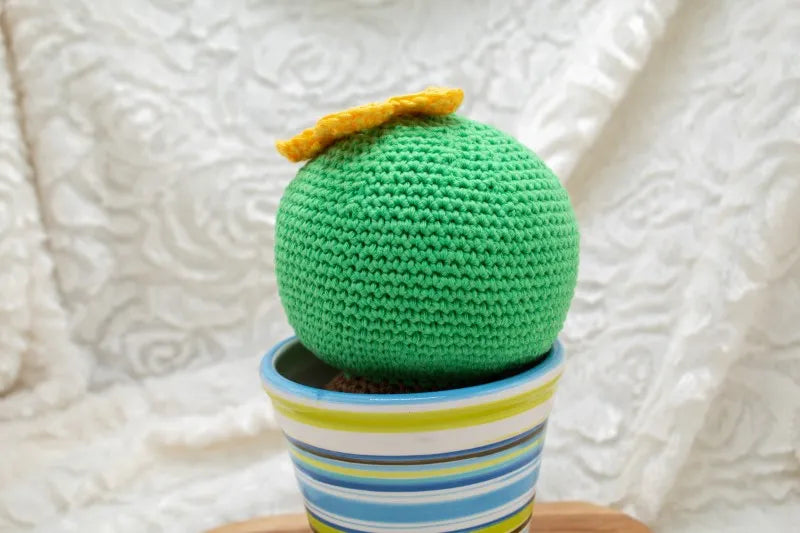 Gehaakt Haakpatroon cactus Carla ontworpen door Cora's Knit Knacks, achteraanzicht waardoor cactus zonder gezichtje zichtbaar is