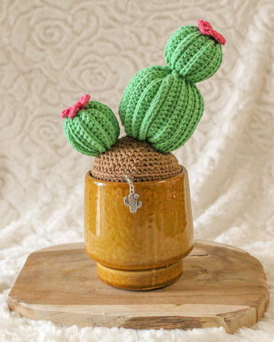 Gehaakt Haakpatroon Carrie de cactus ontworpen door Cora's Knit Knacks