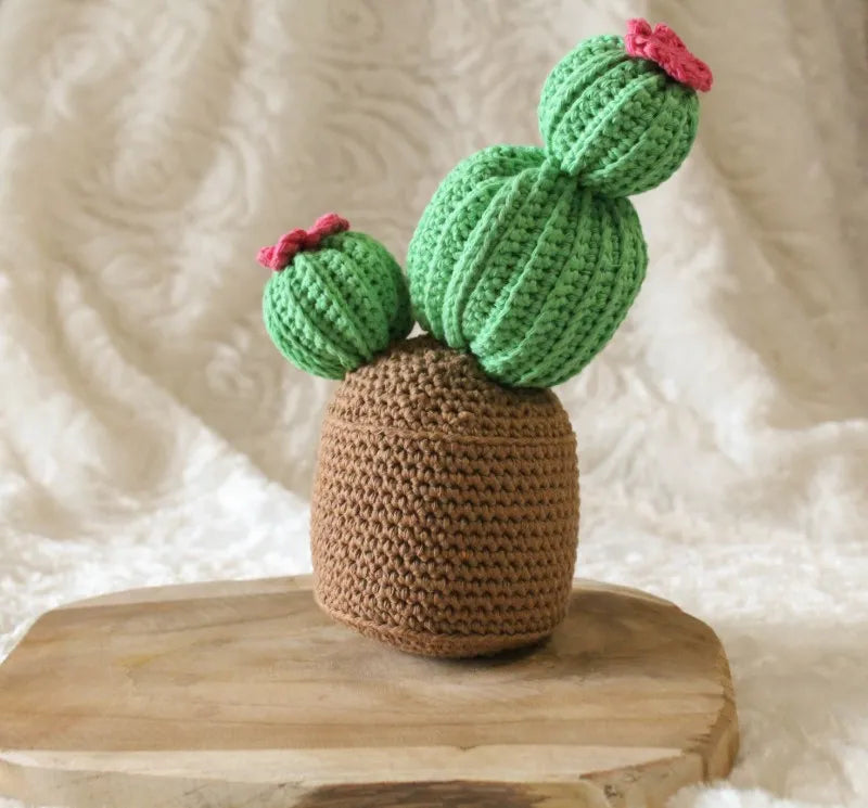 Gehaakt Haakpatroon Carrie de cactus ontworpen door Cora's Knit Knacks