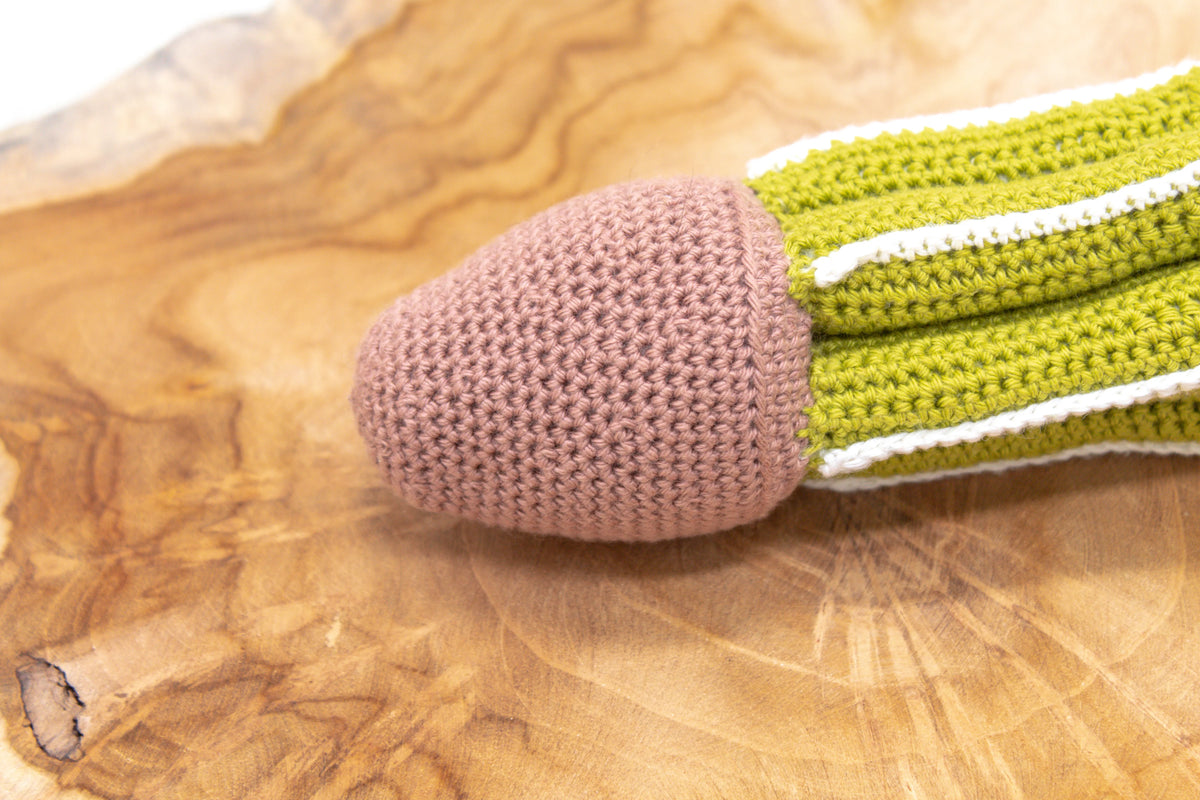 Gehaakt Haakpatroon cactus Florida ontworpen door Craftsfrom.me