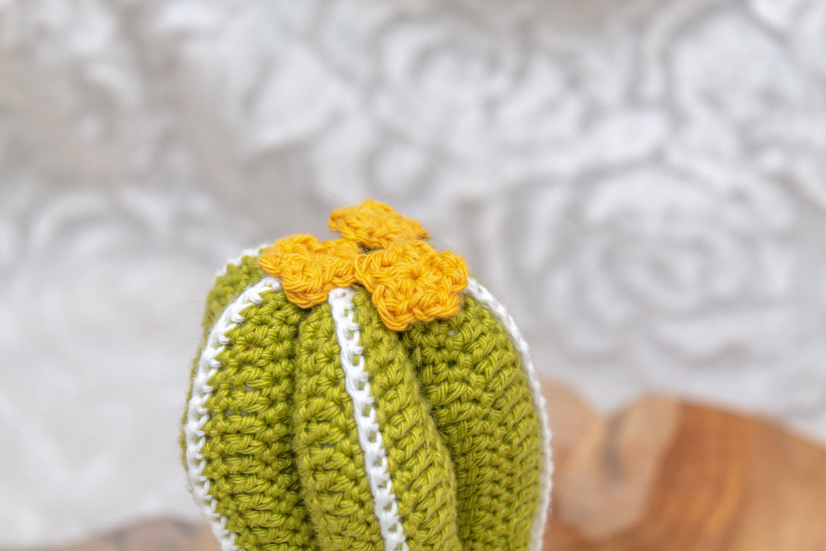 Gehaakt Haakpatroon cactus Florida ontworpen door Craftsfrom.me