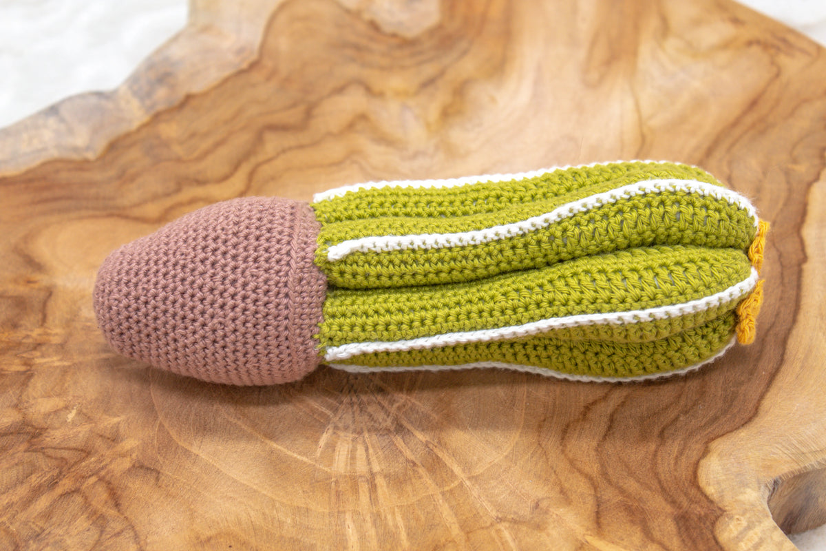 Gehaakt Haakpatroon cactus Florida ontworpen door Craftsfrom.me