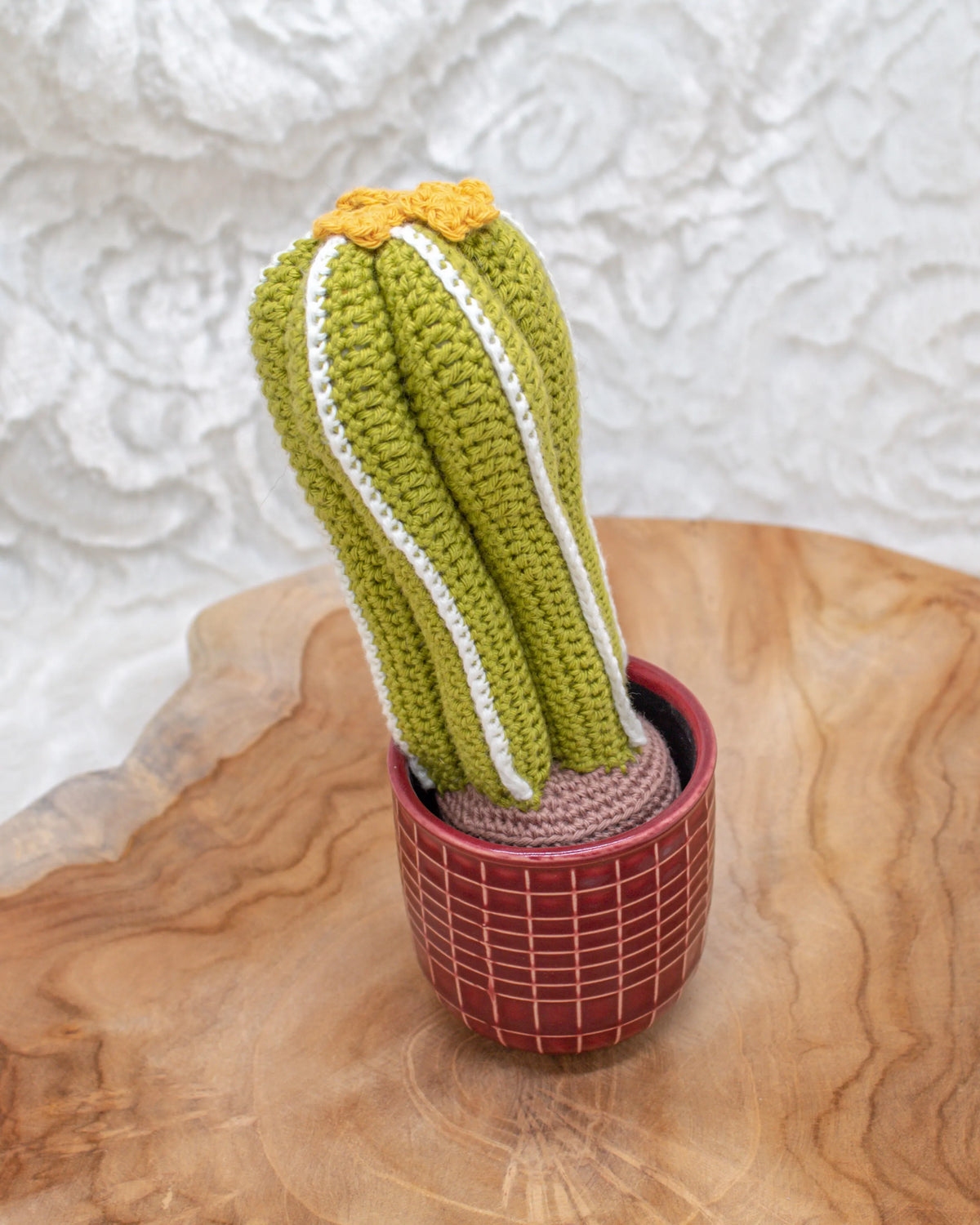 Gehaakt Haakpatroon cactus Florida ontworpen door Craftsfrom.me