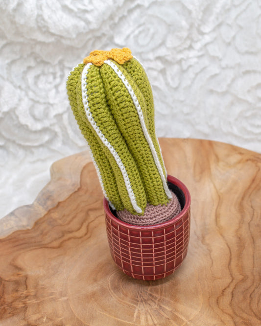 Gehaakt Haakpatroon cactus Florida ontworpen door Craftsfrom.me