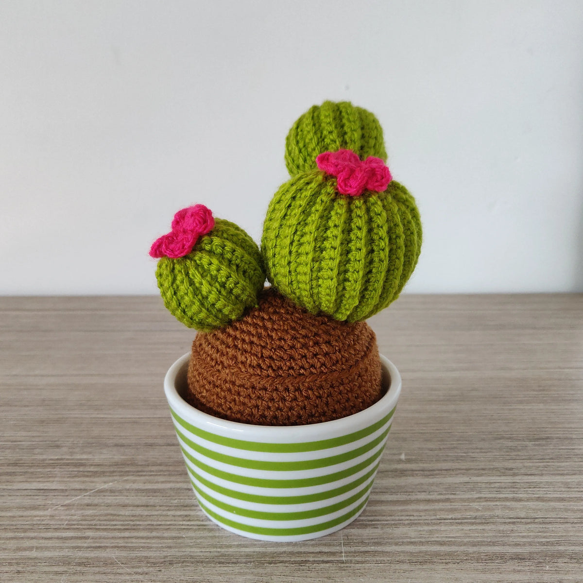 Gehaakt Haakpatroon Carrie de cactus ontworpen door Cora's Knit Knacks, cactus Carrie gehaakt door tester Dorien