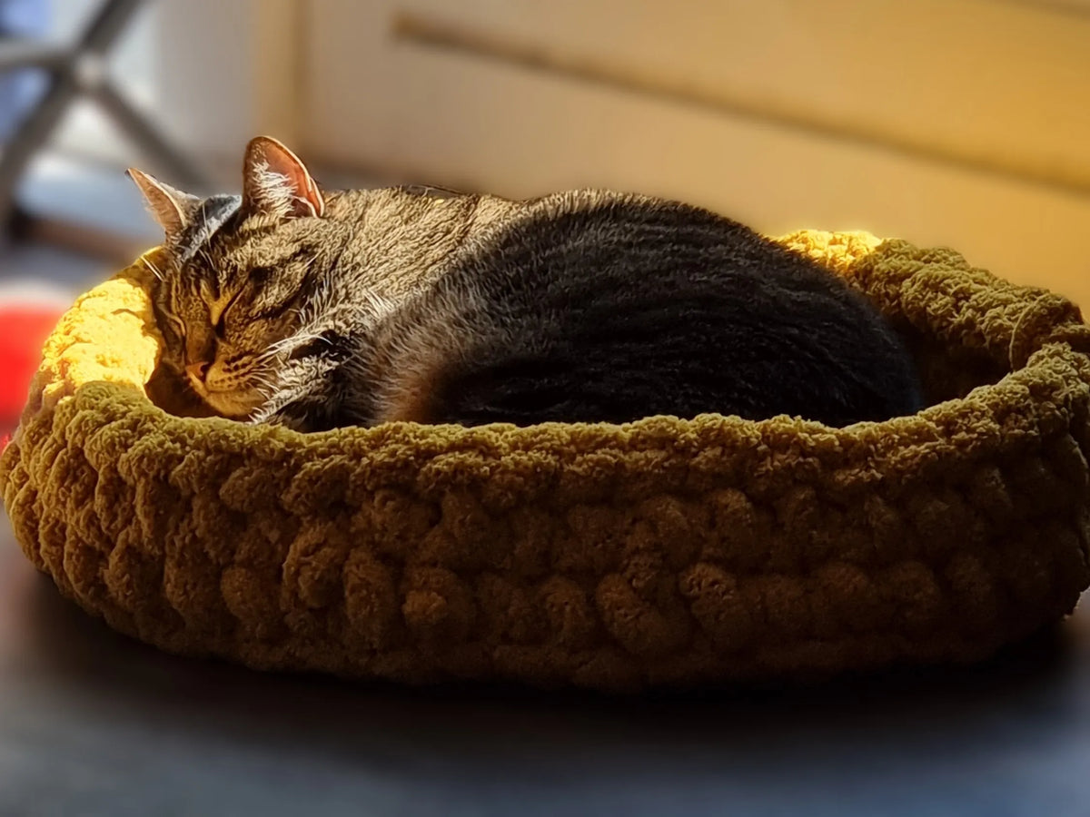 Kat die in gehaakte kattenmand in de zon ligt te slapen, mand gemaakt met Haakpatroon kattenmand Kitty ontworpen door Cora's Knit Knacks