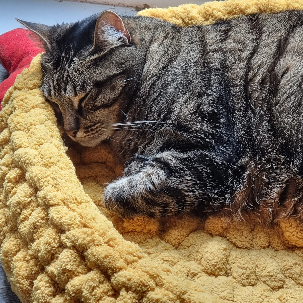 Kat die in gehaakte kattenmand slaapt, mand gemaakt met Haakpatroon kattenmand Kitty ontworpen door Cora's Knit Knacks