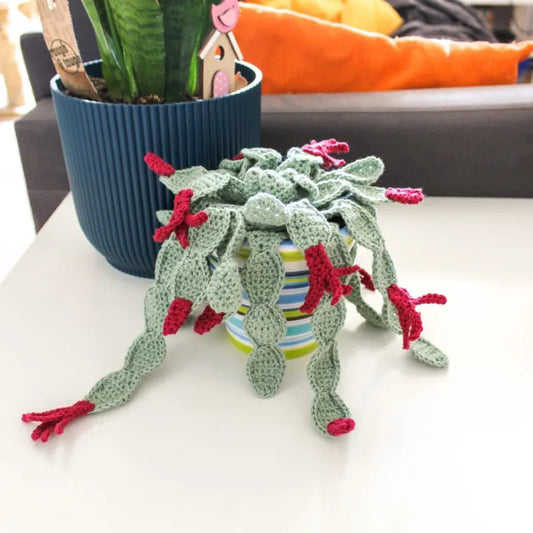 Gehaakt Haakpatroon lidcactus Libby ontworpen door Cora's Knit Knacks