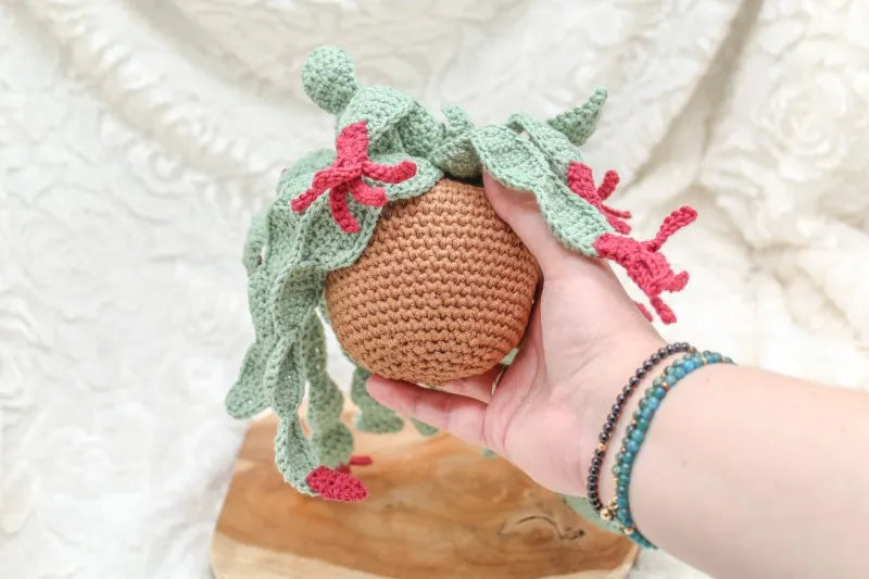 Gehaakt Haakpatroon lidcactus Libby ontworpen door Cora's Knit Knacks, gehaakte lidcactus zonder potje