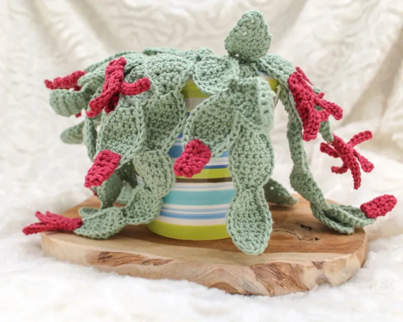Gehaakt Haakpatroon lidcactus Libby ontworpen door Cora's Knit Knacks