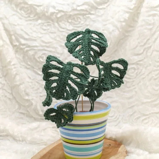 Gehaakt Haakpatroon monstera plantje ontworpen door Cora's Knit Knacks