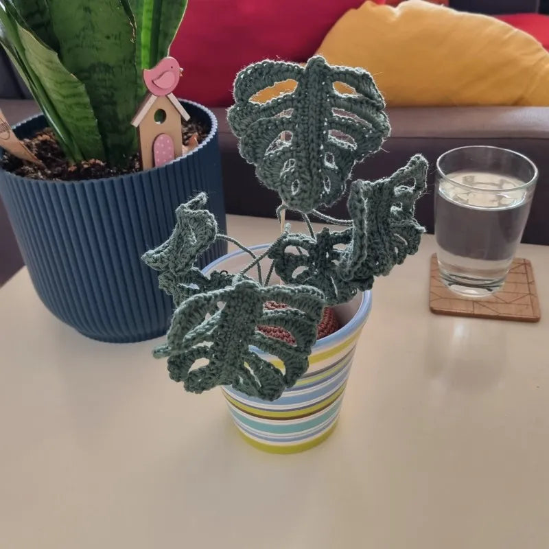Gehaakt Haakpatroon monstera plantje ontworpen door Cora's Knit Knacks